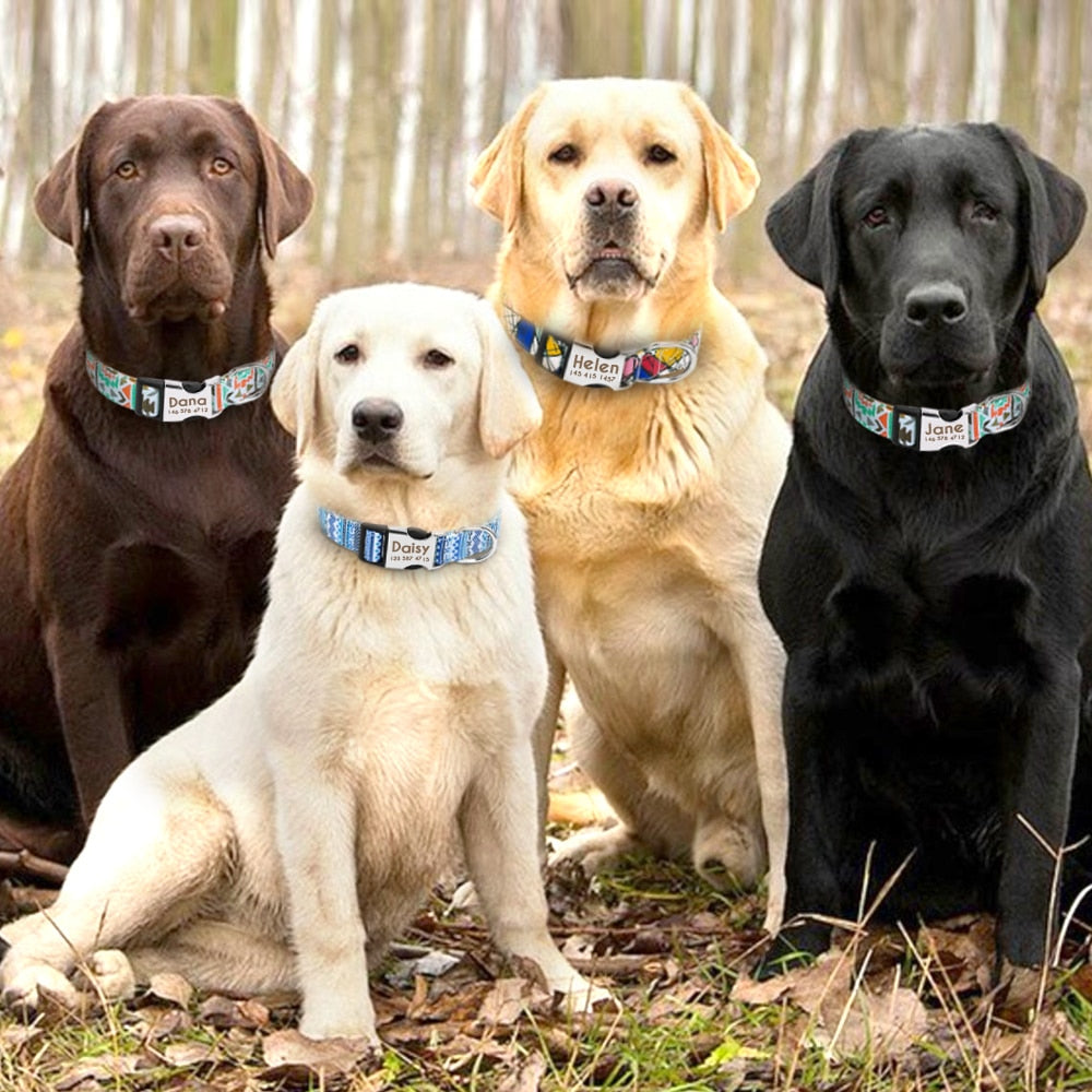 Nylon Dogs Cat Id Collars | Collars, Harnesses Leads - Adjustable