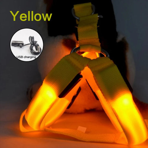 USB Rechargeable Luminous Dog Harness No Pull LED Light Night Safety