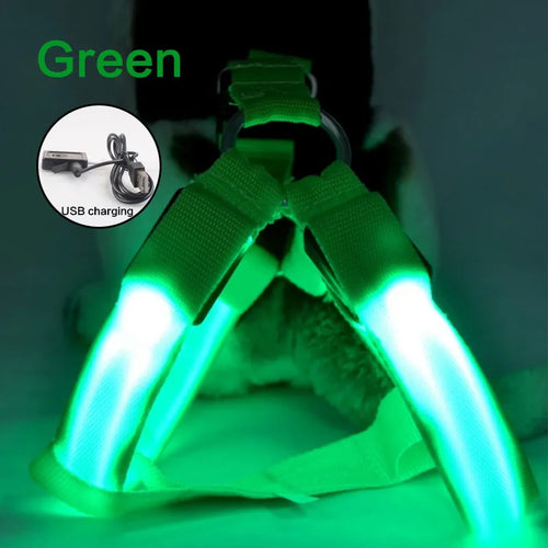 USB Rechargeable Luminous Dog Harness No Pull LED Light Night Safety