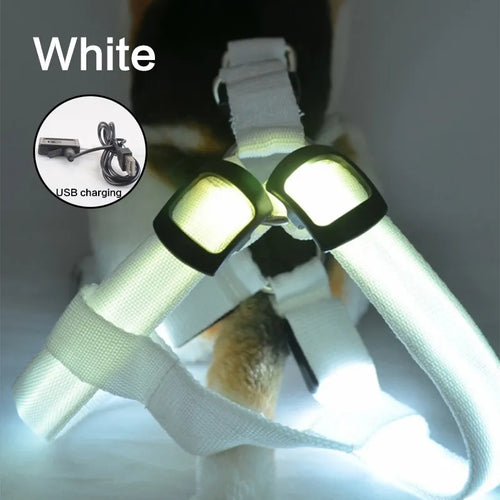 USB Rechargeable Luminous Dog Harness No Pull LED Light Night Safety