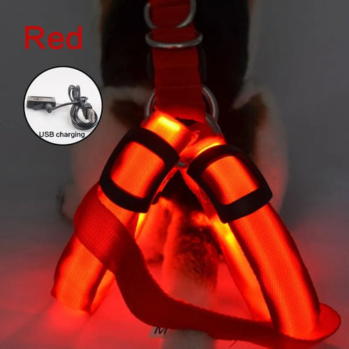 USB Rechargeable Luminous Dog Harness No Pull LED Light Night Safety