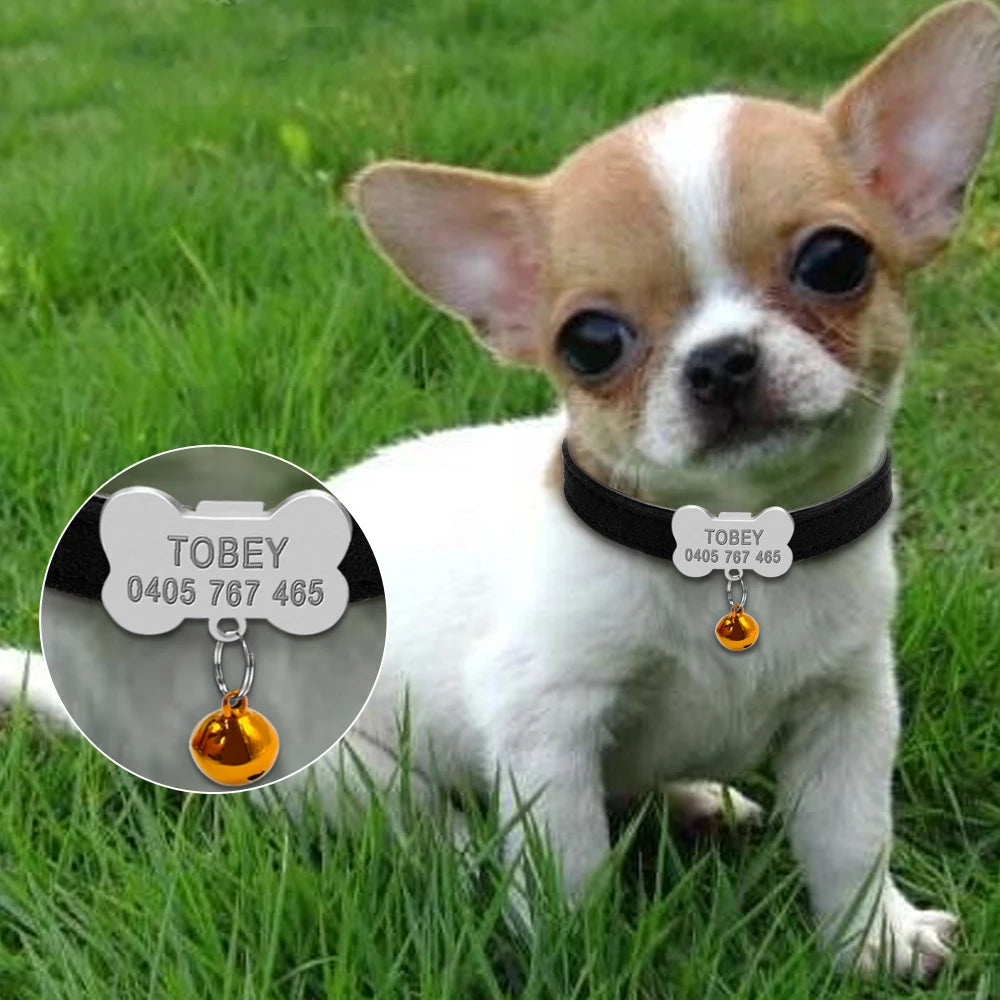 Personalized Dog Collars Custom Chihuahua Puppy Cat Collar Bone ID