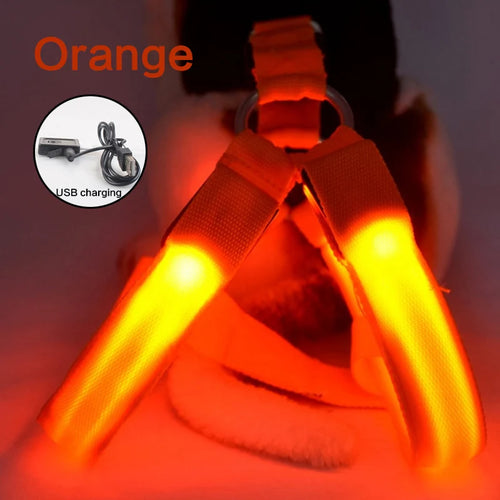 USB Rechargeable Luminous Dog Harness No Pull LED Light Night Safety