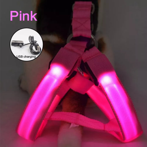 USB Rechargeable Luminous Dog Harness No Pull LED Light Night Safety