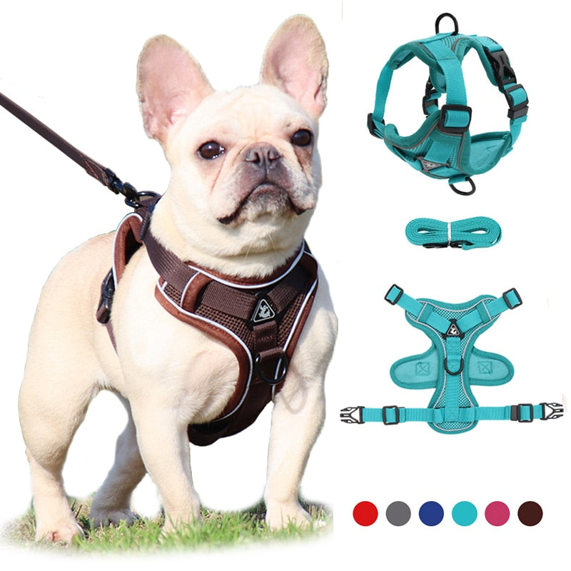 No Pull Dog Harness And Leash Set Adjustable Pet Harness Vest For