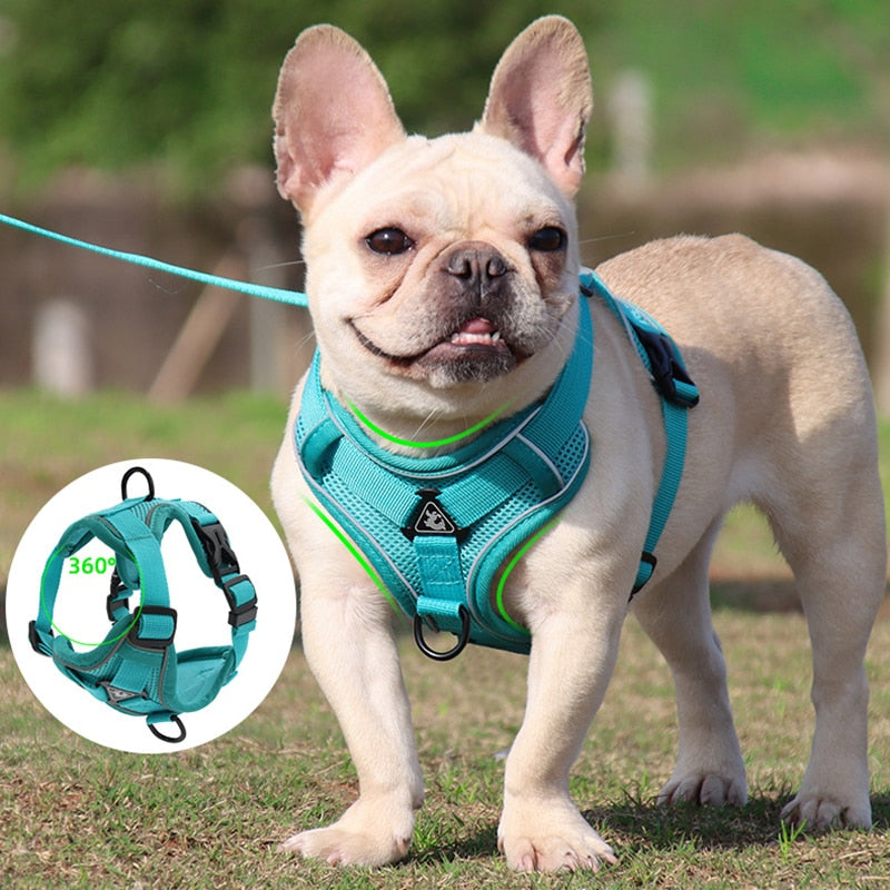 No Pull Dog Harness And Leash Set Adjustable Pet Harness Vest For