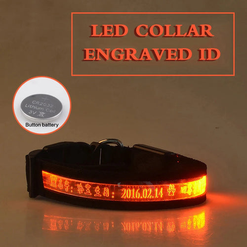 Flashing Dog Collar Personalized With Name LED Light USB Rechargeable