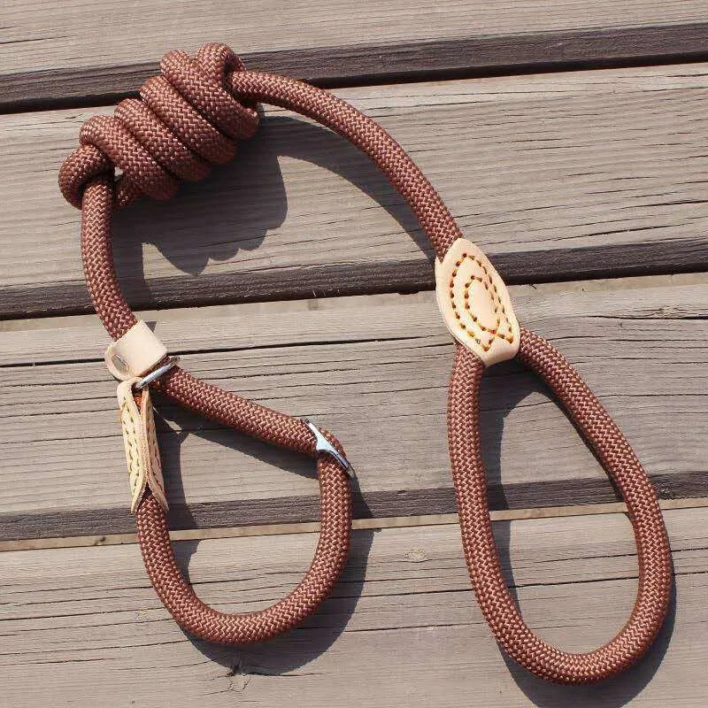 P Chain Dog Leash Slip Collar pet Walking Leads Nylon Dog Mountain