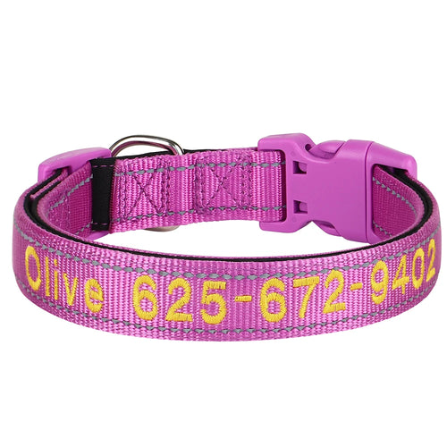 Embroidered Nylon Dog Collar Free Custom Dogs Collar Reflective Pet ID