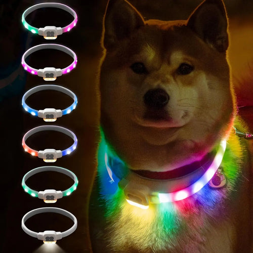 Mewoofun Light Up Dog Collar LED with USB Rechargeable Glow in The