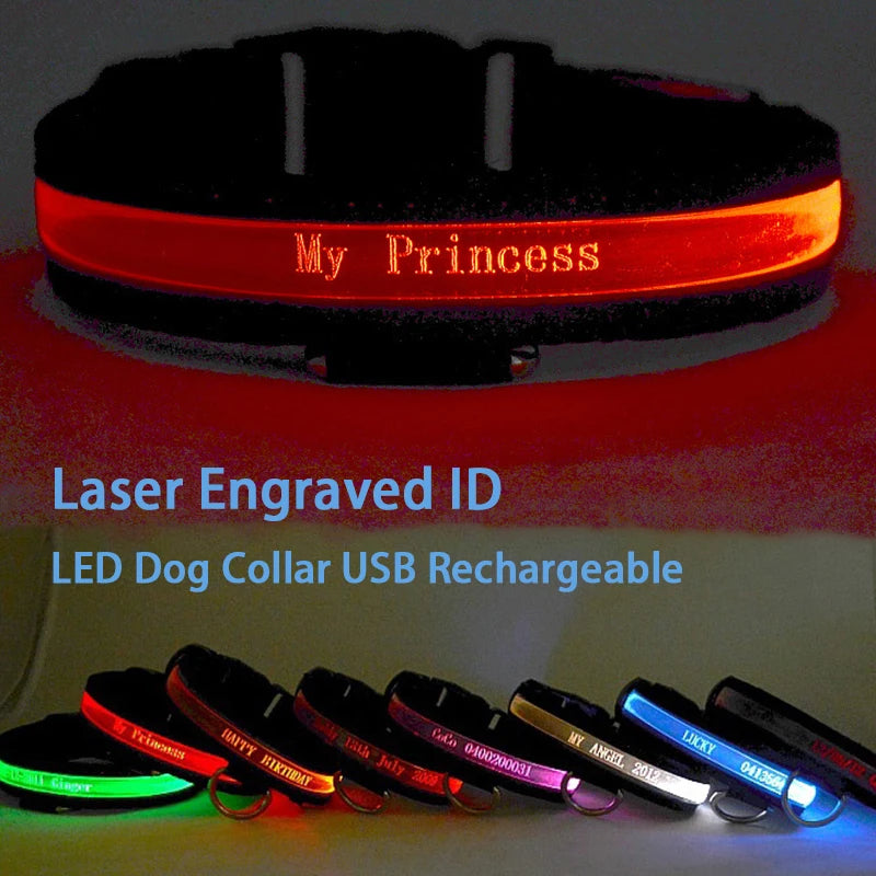 Flashing Dog Collar Personalized With Name LED Light USB Rechargeable