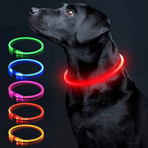 Led Luminous Dog Collar Light USB Charging Necklace, Flashing DIY