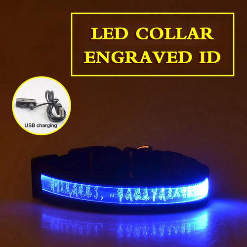 Flashing Dog Collar Personalized With Name LED Light USB Rechargeable