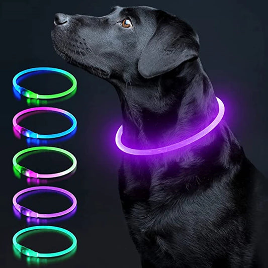 Led Luminous Dog Collar Light USB Charging Necklace, Flashing DIY