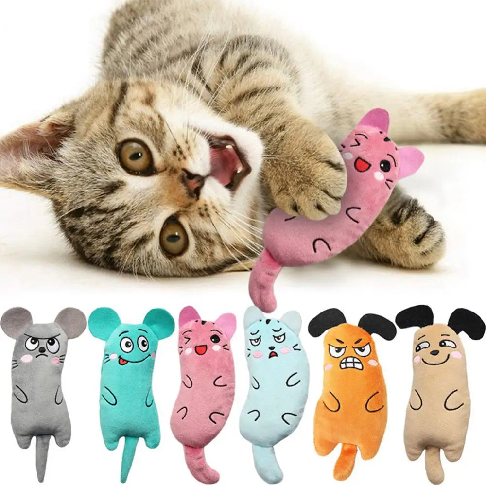 6-1PCS Catnip Toys Funny Interactive Plush Super Soft Pet Kitten Teeth