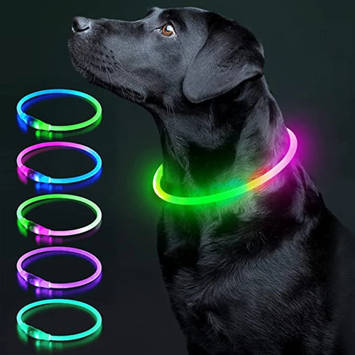 Led Luminous Dog Collar Light USB Charging Necklace, Flashing DIY