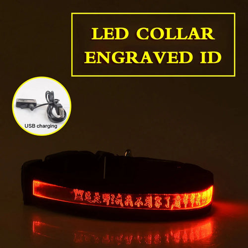 Flashing Dog Collar Personalized With Name LED Light USB Rechargeable