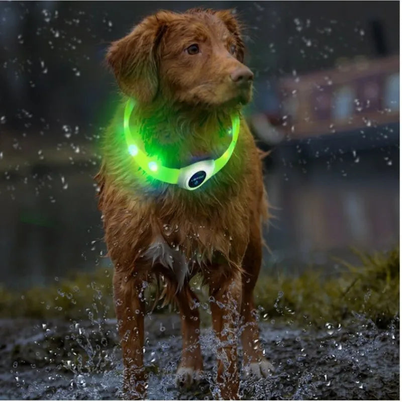 New Led Luminous Dog Collar PVC Waterproof , For Large Medium Small