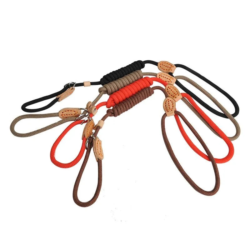 P Chain Dog Leash Slip Collar pet Walking Leads Nylon Dog Mountain