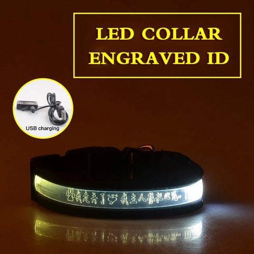 Flashing Dog Collar Personalized With Name LED Light USB Rechargeable