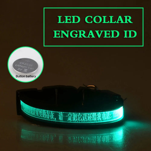 Flashing Dog Collar Personalized With Name LED Light USB Rechargeable