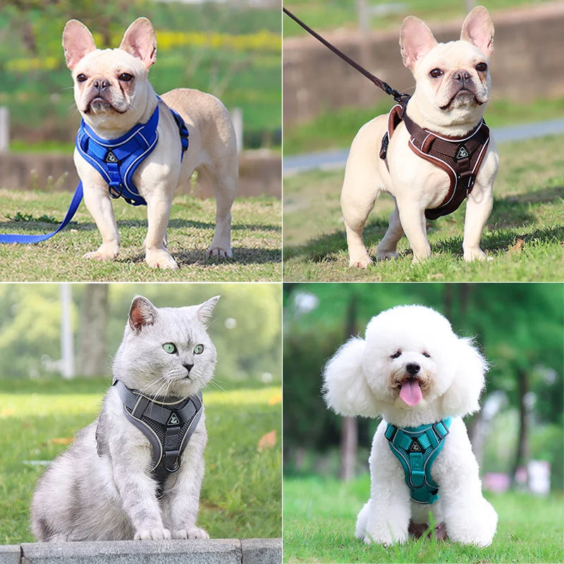 Dog Harness Leash Set Adjustable Pet Chest Strap For Small Medium Dogs