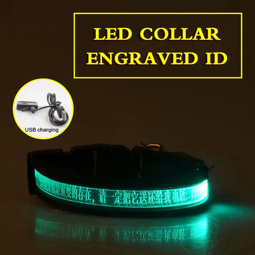 Flashing Dog Collar Personalized With Name LED Light USB Rechargeable