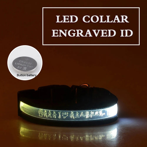 Flashing Dog Collar Personalized With Name LED Light USB Rechargeable