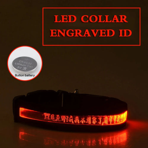 Flashing Dog Collar Personalized With Name LED Light USB Rechargeable