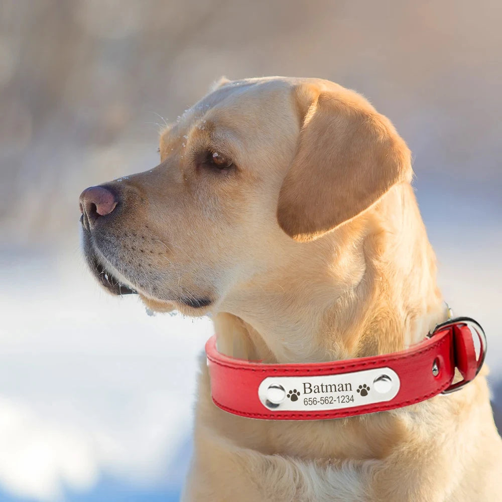 Personalized PU Leather Dog Collar Durable Adjustable Engrave Name ID