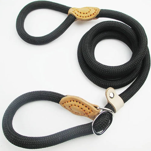 P Chain Dog Leash Slip Collar pet Walking Leads Nylon Dog Mountain