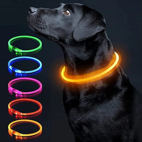 Led Luminous Dog Collar Light USB Charging Necklace, Flashing DIY