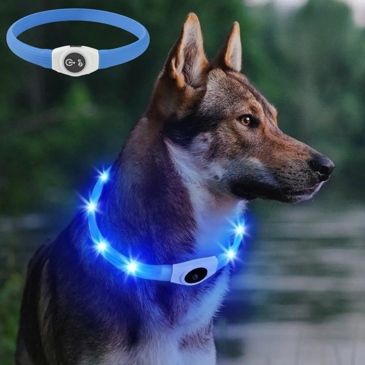 New Led Luminous Dog Collar PVC Waterproof , For Large Medium Small