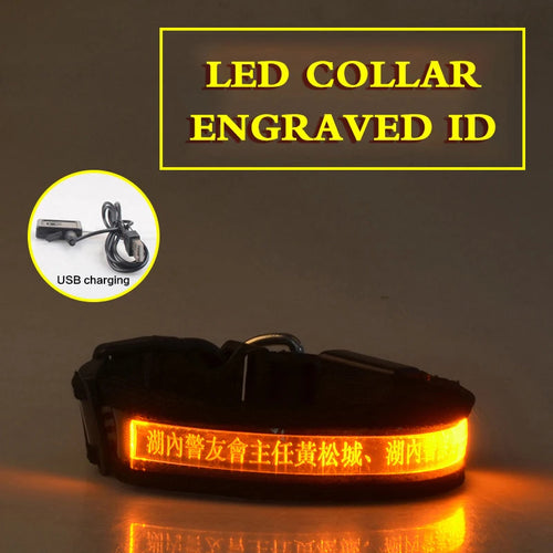 Flashing Dog Collar Personalized With Name LED Light USB Rechargeable