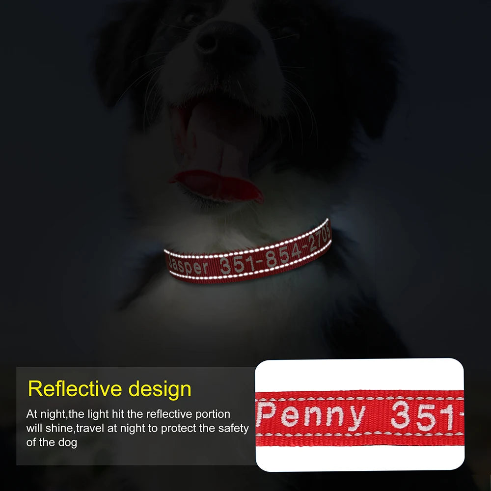 Embroidered Nylon Dog Collar Free Custom Dogs Collar Reflective Pet ID