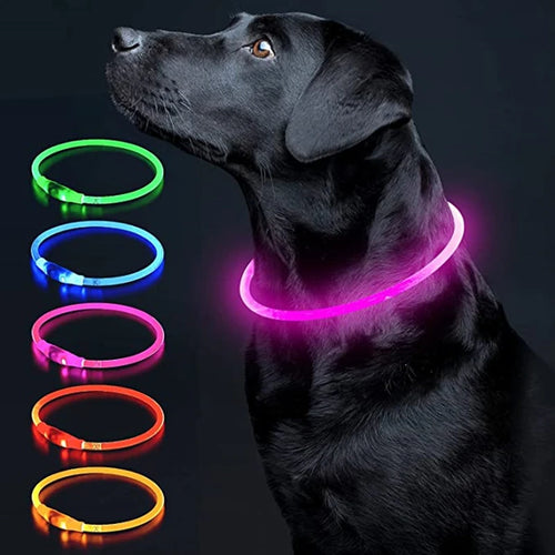 Led Luminous Dog Collar Light USB Charging Necklace, Flashing DIY