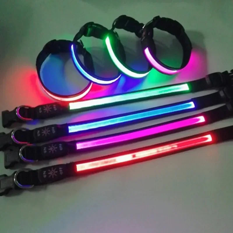 LED Glowing Dog Collar Adjustable Flashing USB Charging Luminous