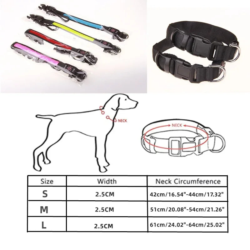 LED Glowing Dog Collar Adjustable Flashing USB Charging Luminous