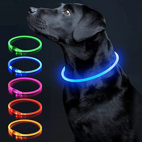 Led Luminous Dog Collar Light USB Charging Necklace, Flashing DIY