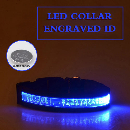 Flashing Dog Collar Personalized With Name LED Light USB Rechargeable