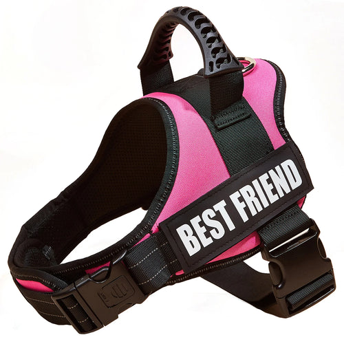 Personalised No Pull Dog Harness with Custom Name and Phone Number