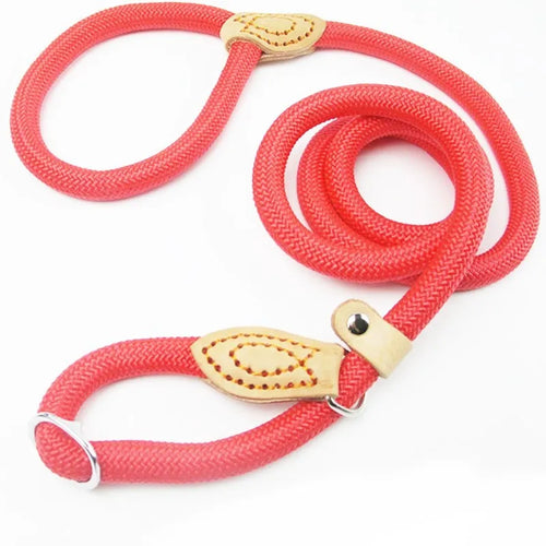 P Chain Dog Leash Slip Collar pet Walking Leads Nylon Dog Mountain