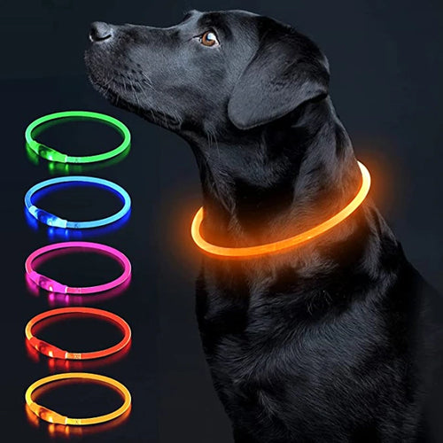 Led Luminous Dog Collar Light USB Charging Necklace, Flashing DIY