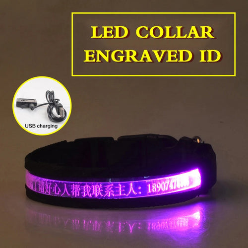 Flashing Dog Collar Personalized With Name LED Light USB Rechargeable