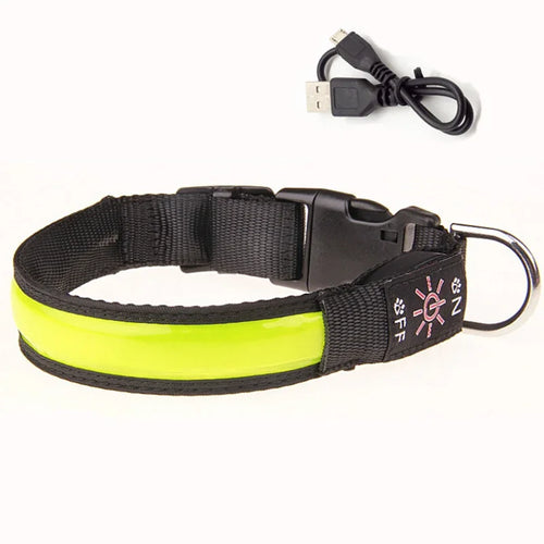 LED Glowing Dog Collar Adjustable Flashing USB Charging Luminous