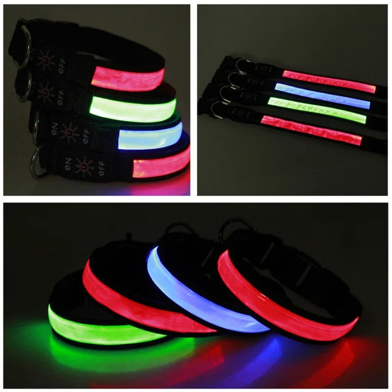 LED Glowing Dog Collar Adjustable Flashing USB Charging Luminous