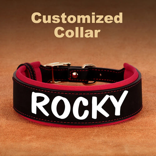 Personalized PU Leather Dog Collar Necklace Wide Padded Pet ID Collars