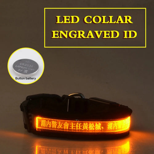 Flashing Dog Collar Personalized With Name LED Light USB Rechargeable