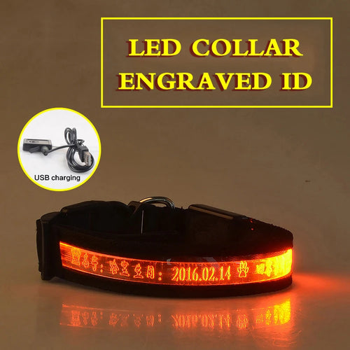 Flashing Dog Collar Personalized With Name LED Light USB Rechargeable