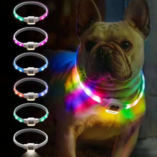 Mewoofun Light Up Dog Collar LED with USB Rechargeable Glow in The